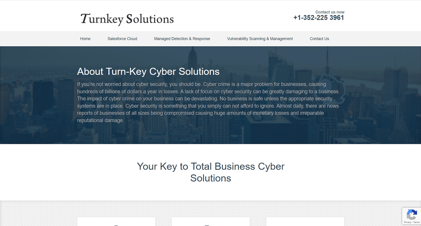 T-Key Solutions website showcasing cybersecurity services, including managed detection and response, vulnerability scanning, and Salesforce cloud protection, with a professional design and user-friendly navigation.
